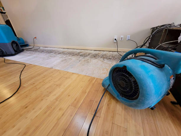 Professional Water Removal technician working in Oaks, PA